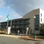 10 Essential Tips for Nigerians in the Diaspora in 2026: BVN, Passports, Money and Property